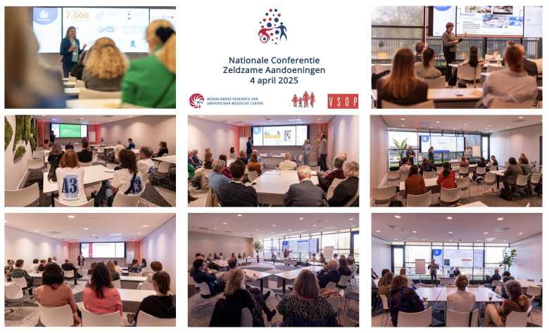 Workshops NZCA 2025